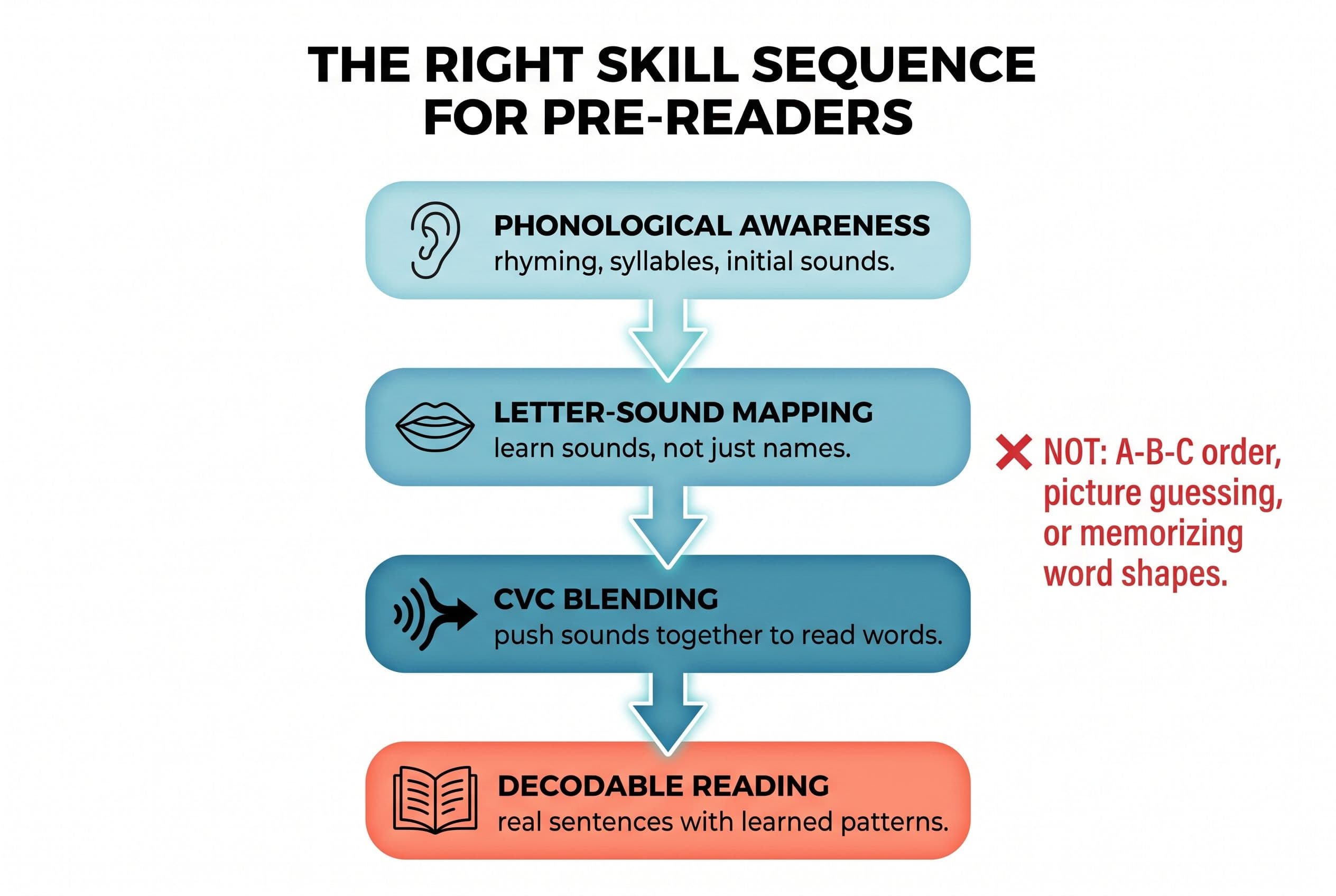 A clean vertical flowchart titled 'The Right Skill Sequence for Pre-Readers' showing 4 stages connected by downward arrows: 1