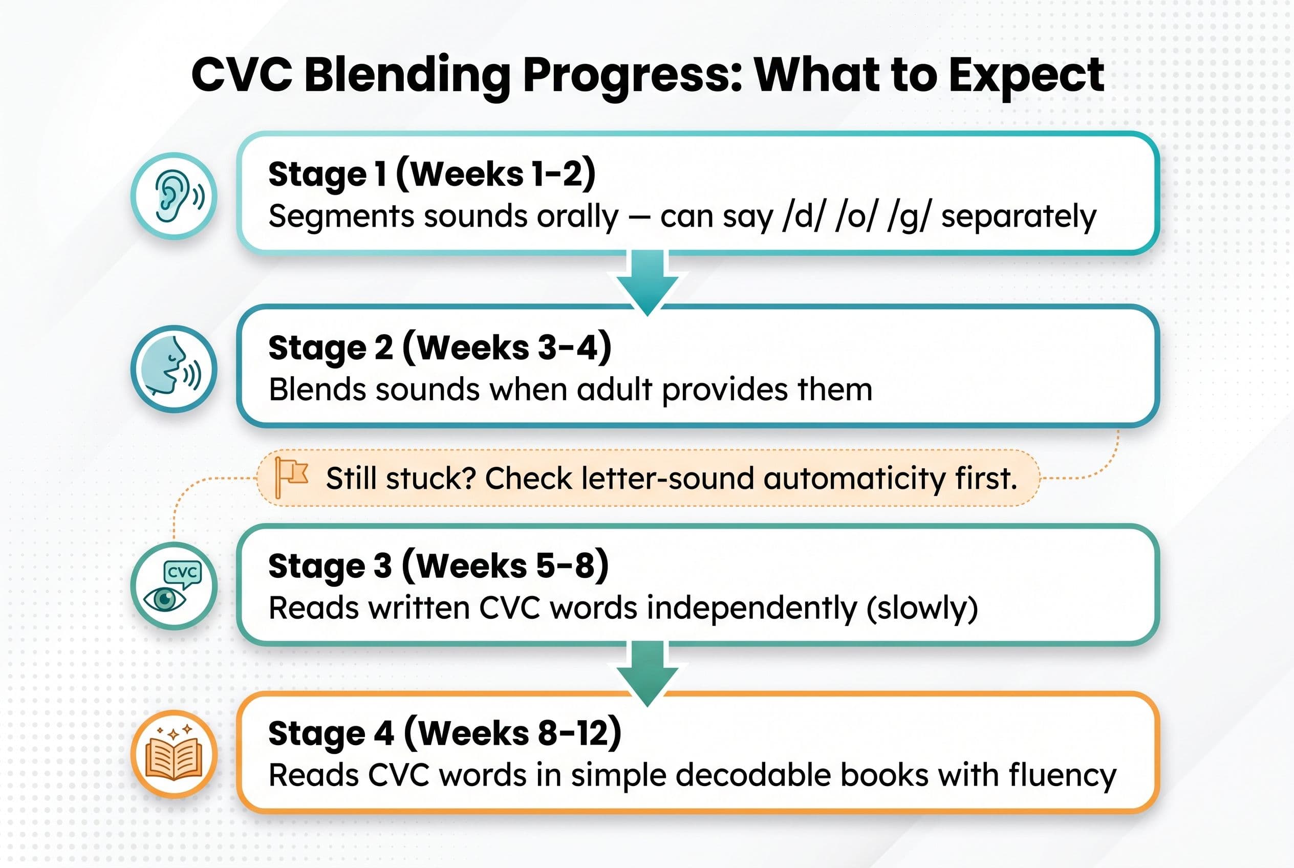 A clean vertical flowchart titled 'CVC Blending Progress: What to Expect' showing four stages in rounded rectangles connected