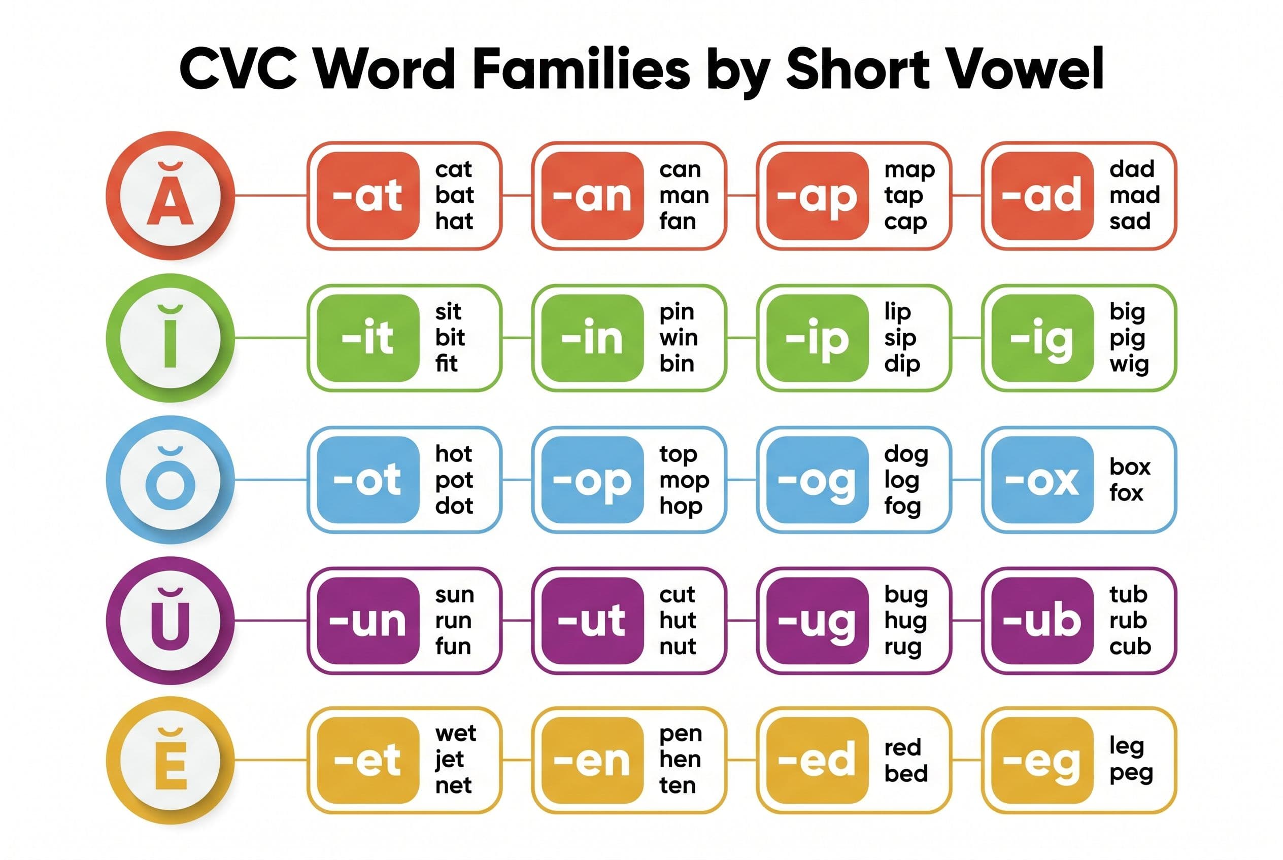 A clean, organized reference chart titled 'CVC Word Families by Short Vowel' with five horizontal rows, one for each short vo