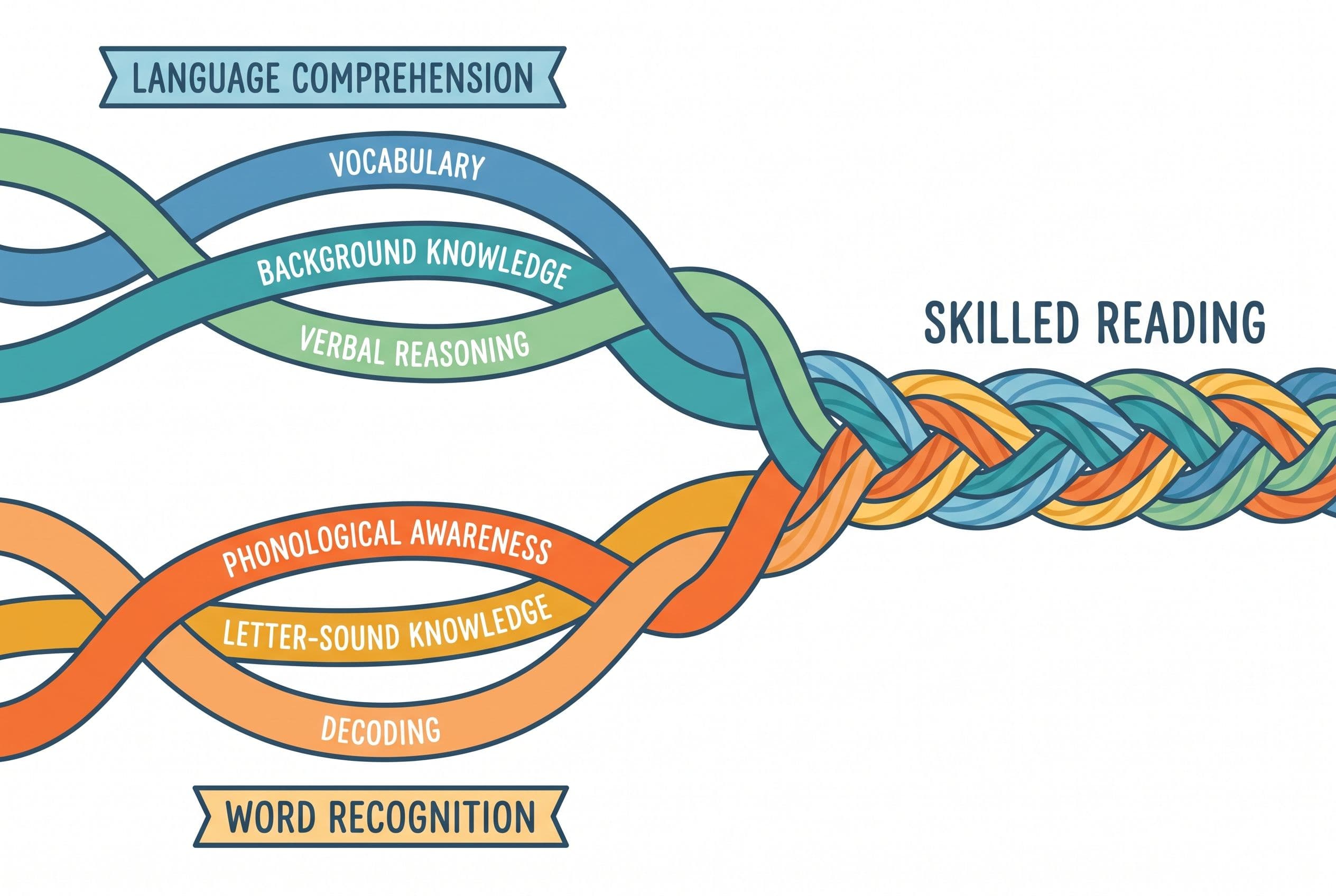 A clean, friendly editorial illustration of Scarborough's Reading Rope concept simplified for parents. Two groups of illustra