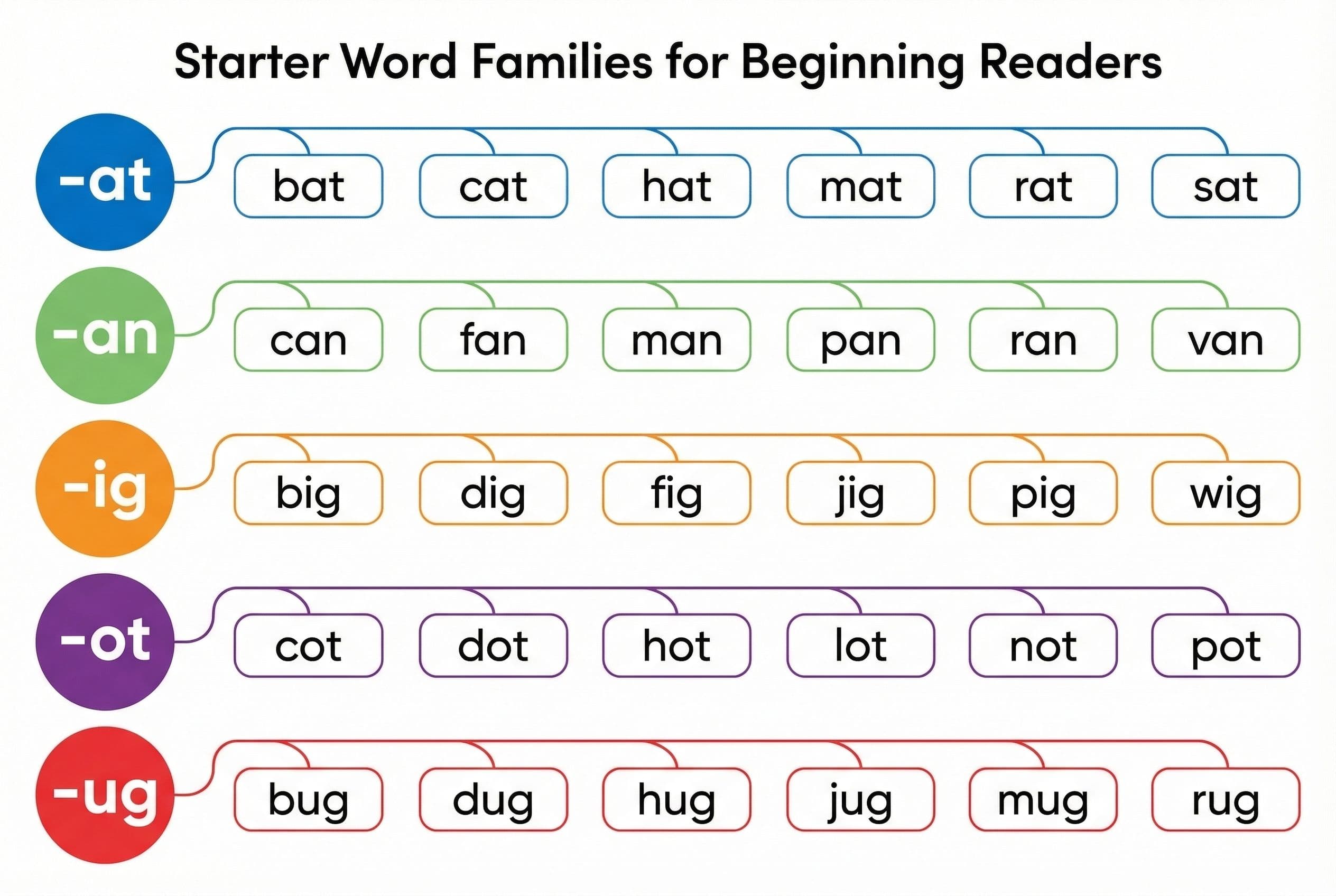 A clean, modern visual showing 5 common word families arranged as horizontal rows on a white background. Each row shows the w